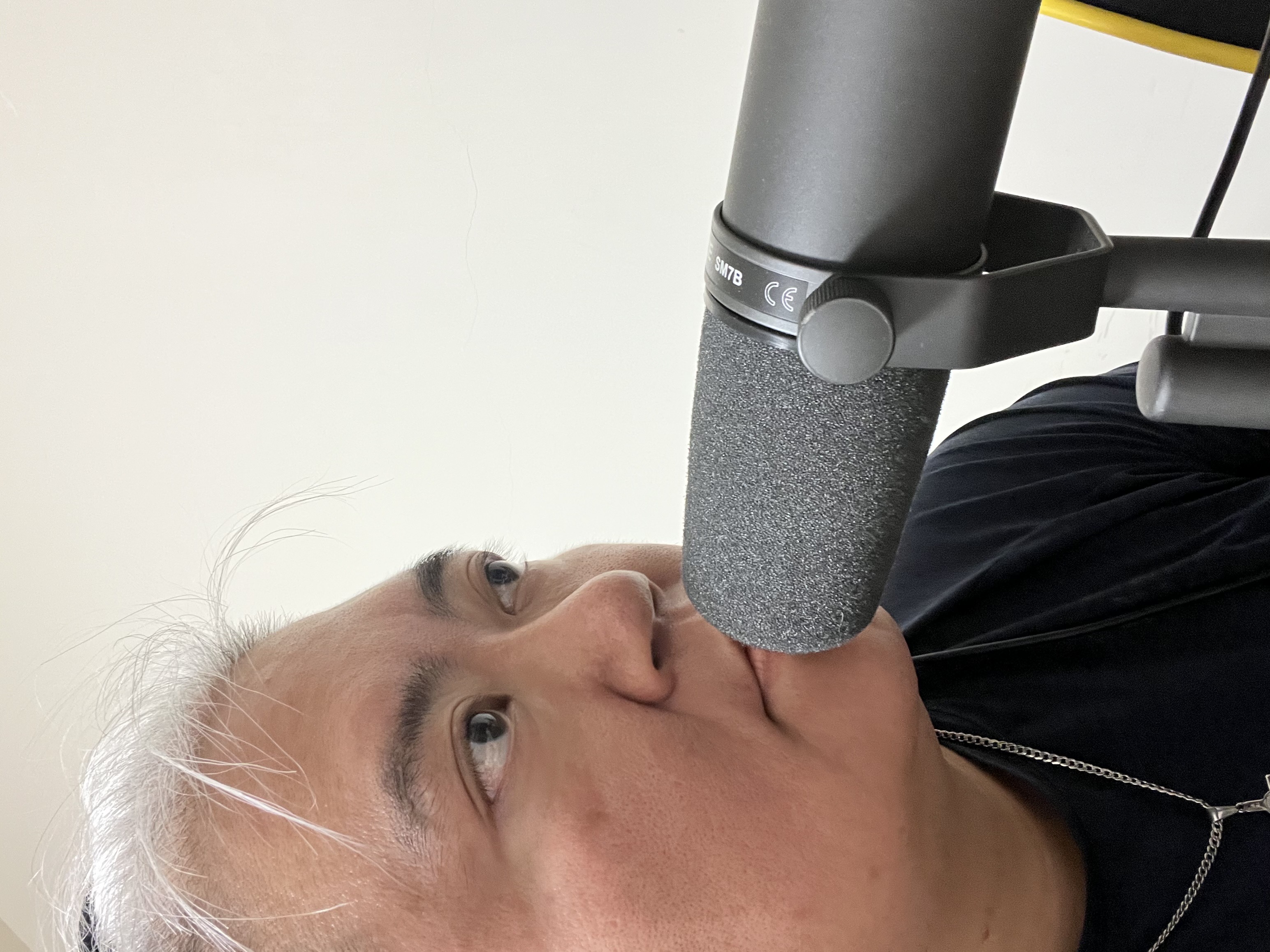 張皓為(白毛)— 配音員